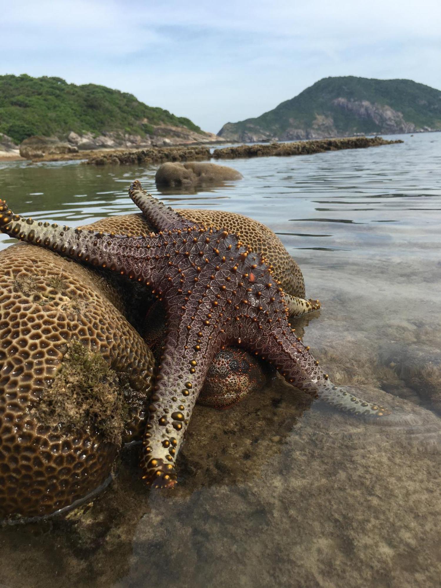 Cham Island Homestay Lau Thu Tan Hiep  Экстерьер фото